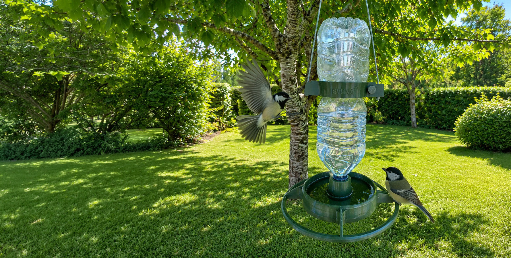 Comment transformer une bouteille d’eau en abreuvoir pour oiseaux ?