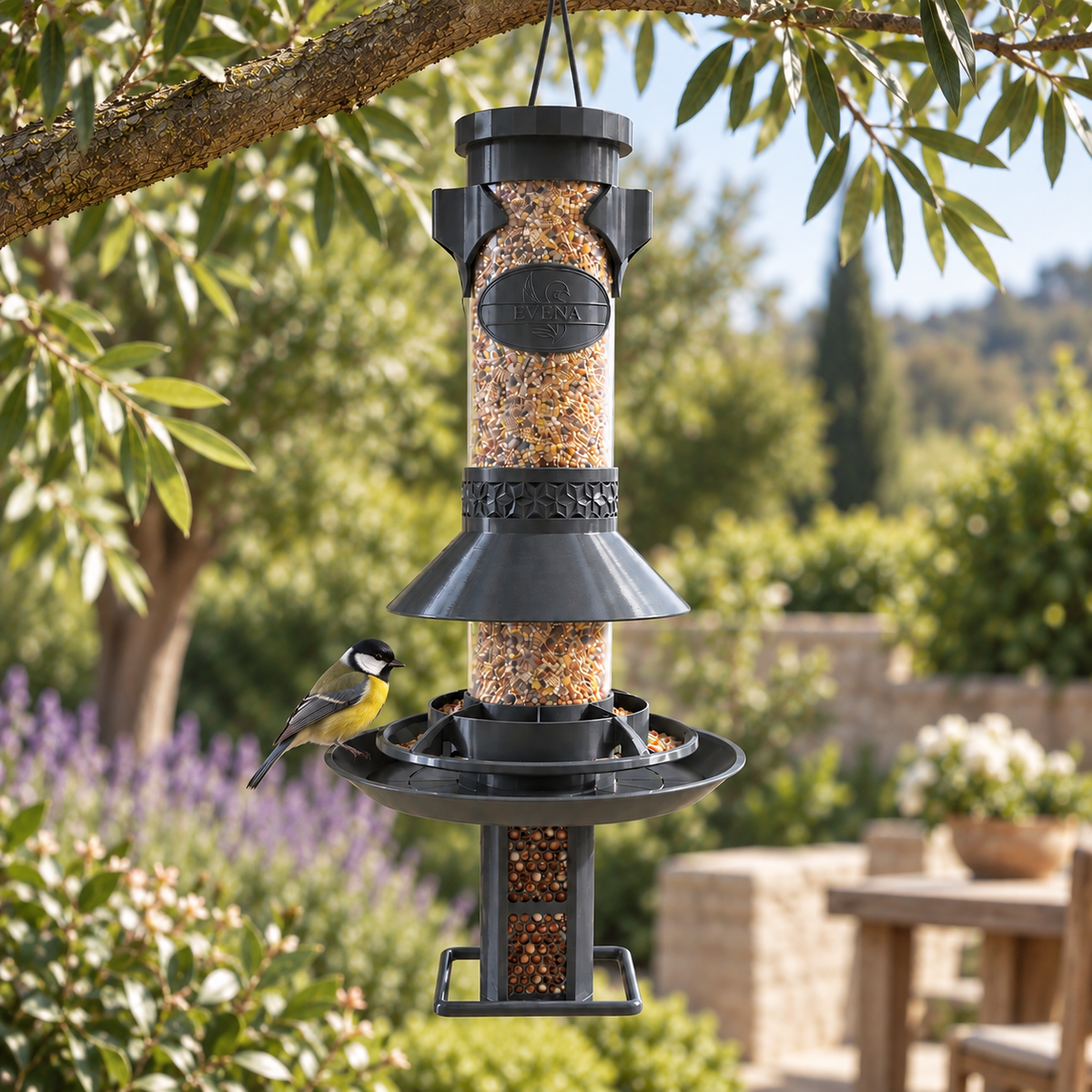 Abondance Cacahuète – Mangeoire grande capacité pour oiseaux