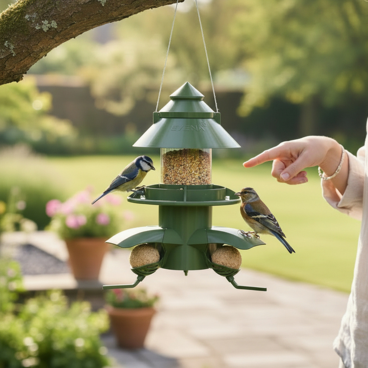 Céleste + – Mangeoire pour oiseaux