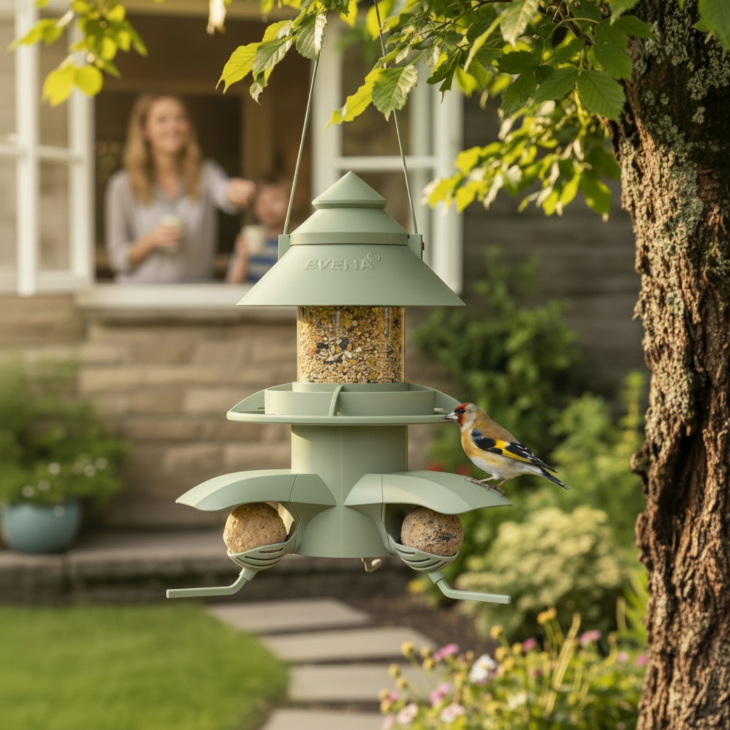 Module supports de boules