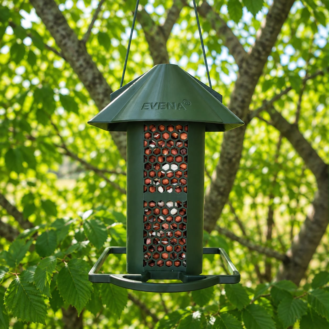 Nucéa – Distributeur de cacahuètes pour oiseaux
